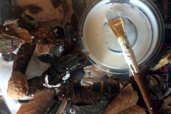 Animacy Theatre Collective Mask Construction.