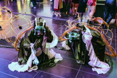 Slow as Snails: Photography by Wildlife. ROM After Dark, January 31, 2025.