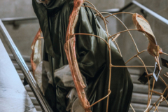 Slow as Snails: Photography by Wildlife. ROM After Dark, January 31, 2025.