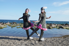 Finding Home: A Salmon Journey Up the Humber River.  Photo by ShutteredEye,ca