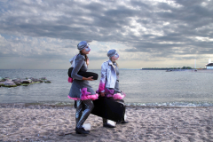 Finding Home: A Salmon Journey Up the Humber River.  Photo by ShutteredEye.ca.