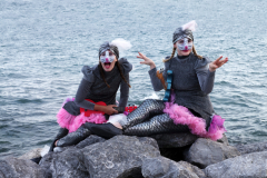 Finding Home: A Salmon Journey Up the Humber River.  Photo by ShutteredEye,ca