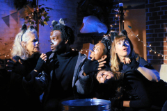 raccoon-solstice-animacy-theatre-collective-lights